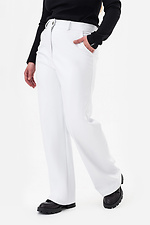 Pants ISKRA-1 Garne 3043017 photo №3