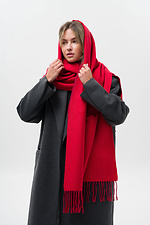 Жіночий Шарф Registered Red Without 8056018 фото №2