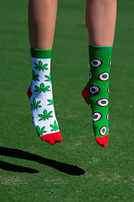 Високі бавовняні шкарпетки в принт коноплі SOX 8041032 фото №1