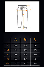 Men's sports pants Simple Straight 2 Black Teamv 8034047 photo №6