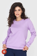 Damen-Sweatshirt aus Baumwolle, lila Farbe Garne 3041050 Foto №1