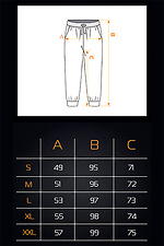 Men's sports pants Special Team 2 Ash Teamv 8034054 photo №7