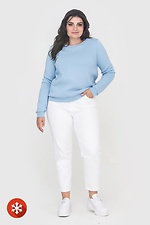 Blaues Damen-Sweatshirt aus Baumwolle Garne 3041056 Foto №2