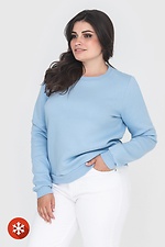 Blaues Damen-Sweatshirt aus Baumwolle Garne 3041056 Foto №3