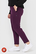 Утеплені завужені штани на флісі фіолетового кольору Garne 3041061 фото №2