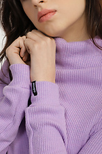 VALERIA rib knit sweater with raglan sleeves and high yoke collar Garne 3040062 photo №5