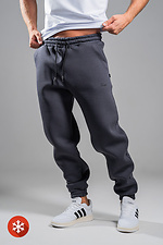 Чоловічі теплі спортивні штани Jogger Попільно-сині Teamv 8034062 фото №1