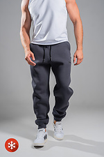 Мужские теплые спортивные штаны Jogger Пепельно-синие Teamv 8034062 фото №4