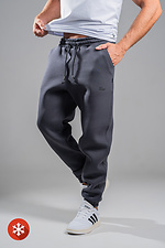Мужские теплые спортивные штаны Jogger Пепельно-синие Teamv 8034062 фото №5