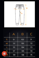 Мужские теплые спортивные штаны Jogger Пепельно-синие Teamv 8034062 фото №7