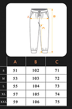 Men's jogging pants Jogger Petlia 23 Milk Teamv 8034073 photo №7