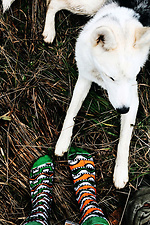Multi colored patterned socks M-SOCKS 2040085 photo №3
