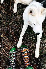 Mehrfarbig gemusterte Socken M-SOCKS 2040085 Foto №3