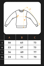 Raise Black Loose Fit Men's Sweatshirt Teamv 8034108 photo №7