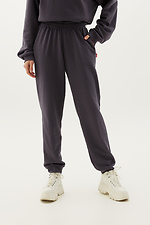 Женские спортивные штаны FREDA серого цвета GEN 7770113 фото №2