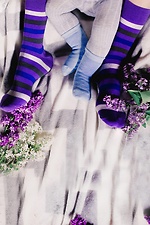 Pack of 3 pairs of multi-coloured cotton high socks M-SOCKS 2040116 photo №4