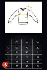 Warmes Herren-Sweatshirt Flatlock 3 Grau Teamv 8034134 Foto №5