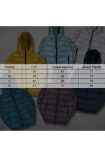Demi-season quilted jacket for men in brown VDLK 8031141 photo №7