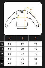 Men's sweatshirt TM Base Petlia 23 Ash Teamv 8034185 photo №6