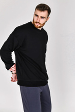Men's sweatshirt TM Base Petlia 23 Black Teamv 8034186 photo №3