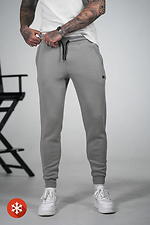 Men's winter sports pants Drive 3 Gray Teamv 8034204 photo №5