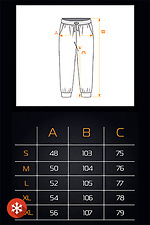 Мужские теплые штаны Simple Sport 3 Темно-серый Teamv 8034239 фото №7