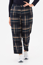 Trousers RAIN-2 brown Garne 3043246 photo №1