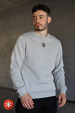 Warm men's sweatshirt with coat of arms print in gray color Garne 9001274 photo №1