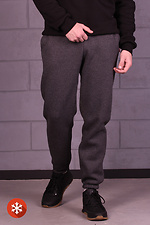 Теплые спортивные штаны на флисе с манжетами GEN 8000292 фото №2