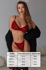 Комплект женского белья в красном цвете M-SOCKS 2040307 фото №6
