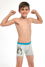 Подростковые хлопковые трусы-шорты для мальчика Cornette 2026308 фото №1