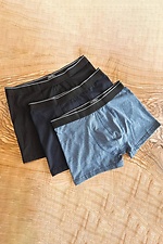 Set of men's briefs (3 pcs.) HOT 8035321 photo №1