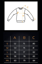 Men's Warm Sweatshirt Flatlock 3 Mocha Teamv 8034323 photo №5