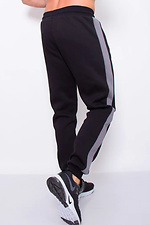 Men's warm pants Restrain Line 3 Black (gray stripes) Teamv 8034324 photo №2