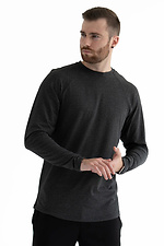 Herren Langarm-T-Shirt Dunkelgrau Teamv 8034327 Foto №3