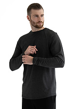 Herren Langarm-T-Shirt Dunkelgrau Teamv 8034327 Foto №4