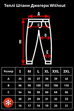 Теплые спортивные штаны джоггеры на флисе в черном цвете Without 8048368 фото №6