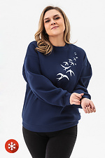 Warm sweater WENDI on fleece Swallows Garne 9001397 photo №4