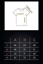 Men's set T-shirt and shorts NYC Mocha with black Teamv 8034403 photo №5