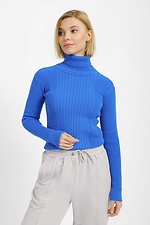 Golf turtleneck blue with high neck  4038413 photo №1
