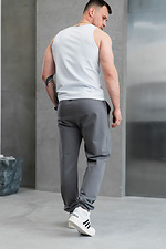 Men's Demi-season Sports Pants with Cuffs Simple Sport Gray Teamv 8034420 photo №4