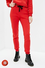 Warm tracksuit RIDE-1 with fleece in red Garne 3037423 photo №4