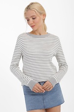 Women's gray long sleeve knitted jumper with stripes  4038423 photo №1