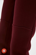 Теплые спортивные штаны из тринитки на флисе Garne 3039428 фото №4
