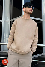 Men's insulated sweatshirt in beige Reload 8031436 photo №2