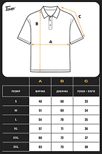 Einfarbiges Herren-Poloshirt, Weiß Teamv 8034491 Foto №9