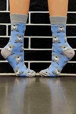 Blue cotton high socks with koala pattern R'N'B SOCKS 8024515 photo №1
