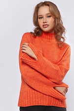 Carrot sweater  4038521 photo №1