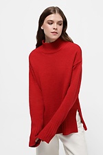 czerwony sweter  4038527 zdjęcie №1