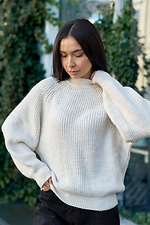 Жіночий свитер в'язаний оверсайз Raglan Sweater Teamv 8034576 фото №2